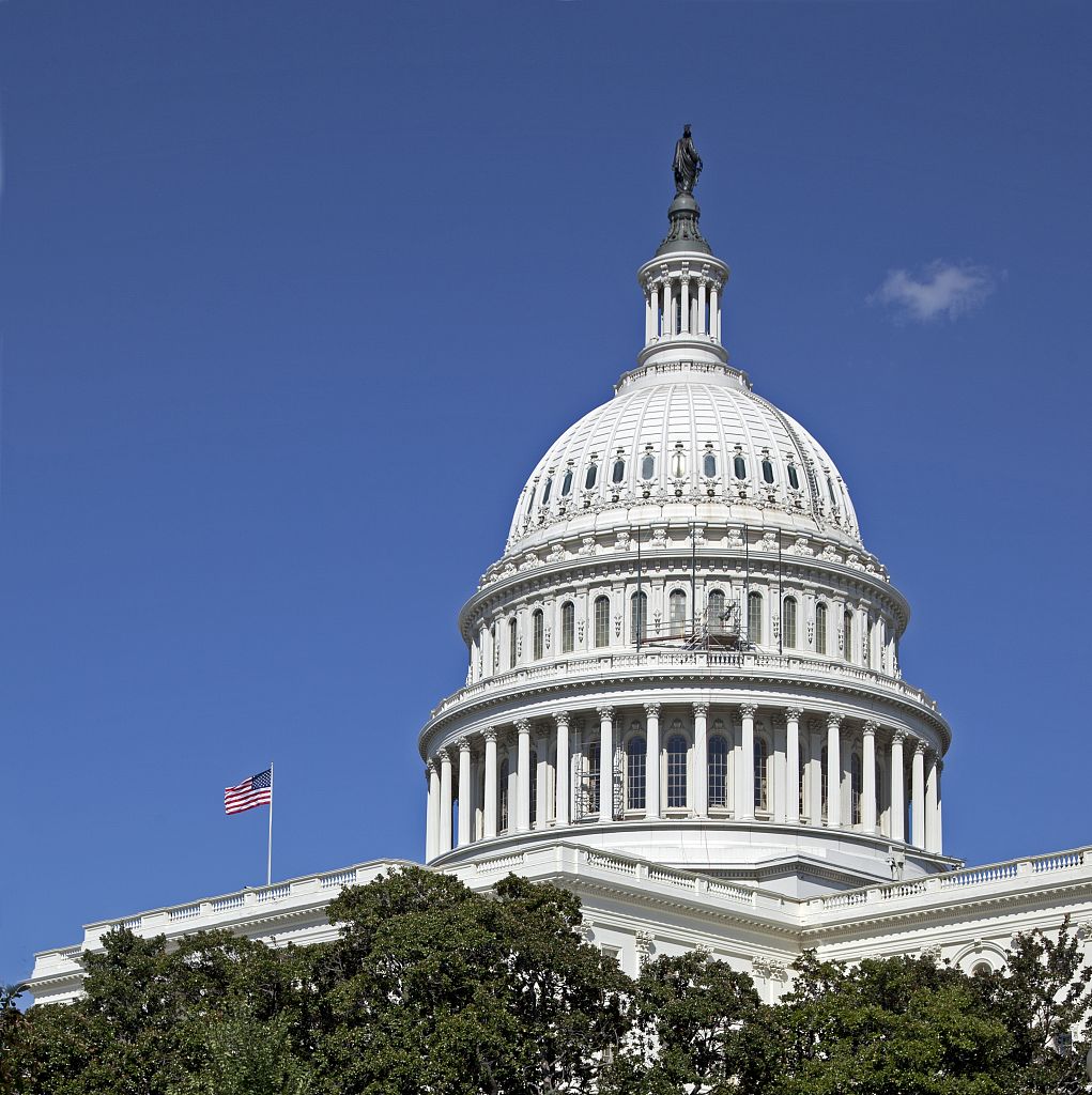 The United States Capitol in Washington, DC